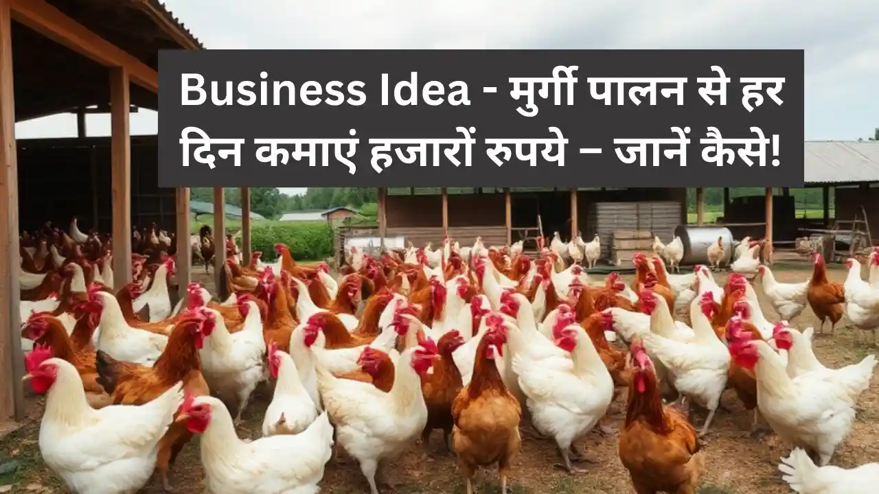 Business Idea - मुर्गी पालन से हर दिन कमाएं हजारों रुपये – जानें कैसे